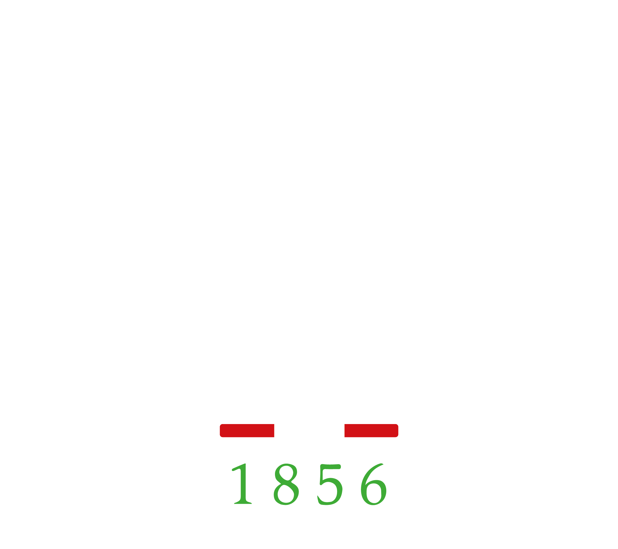 Pisco Nietto.